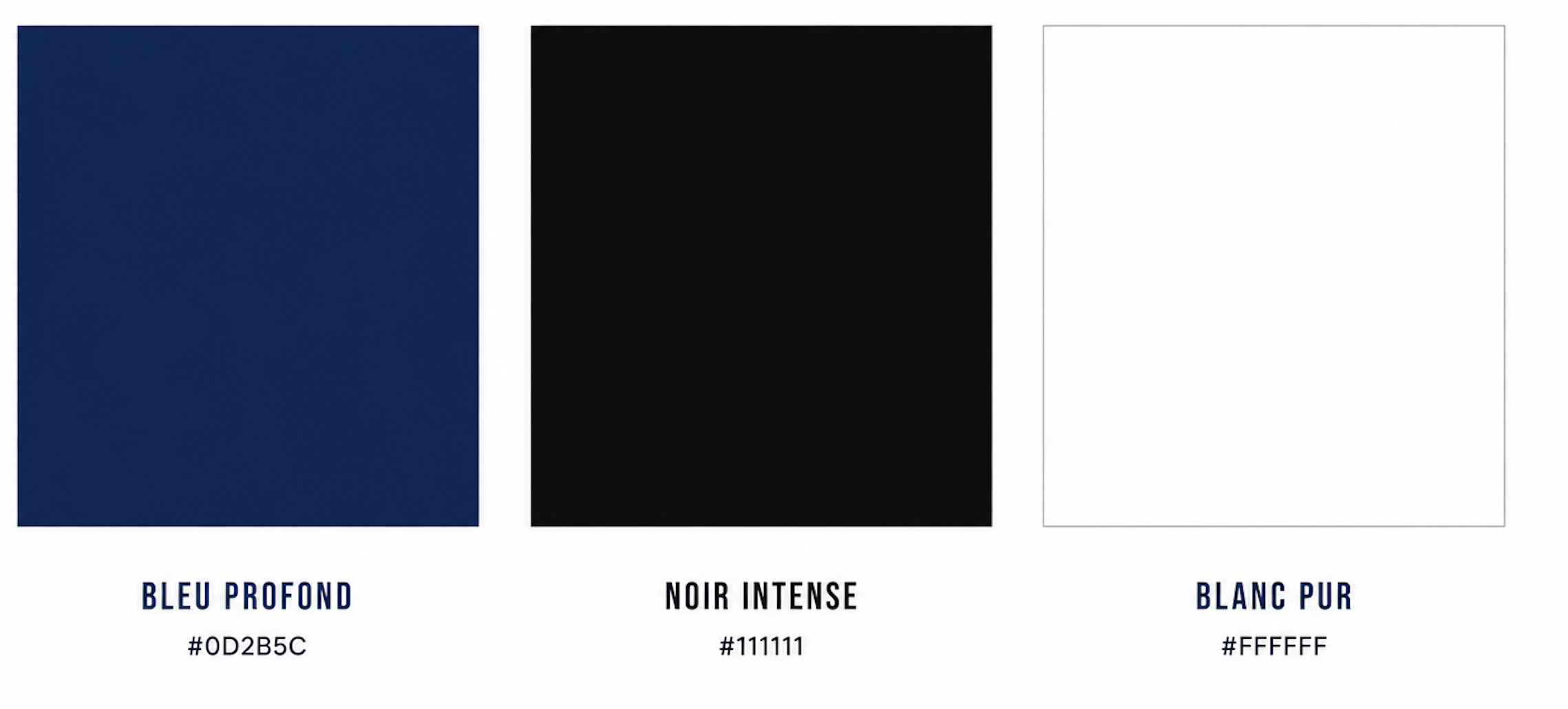 palette couleurs